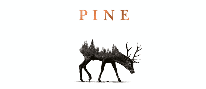 Review: Francine Toon’s Pine is a haunting and heartbreakingly bewitching tale Review: Francine Toon’s Pine is a haunting and heartbreakingly bewitching tale