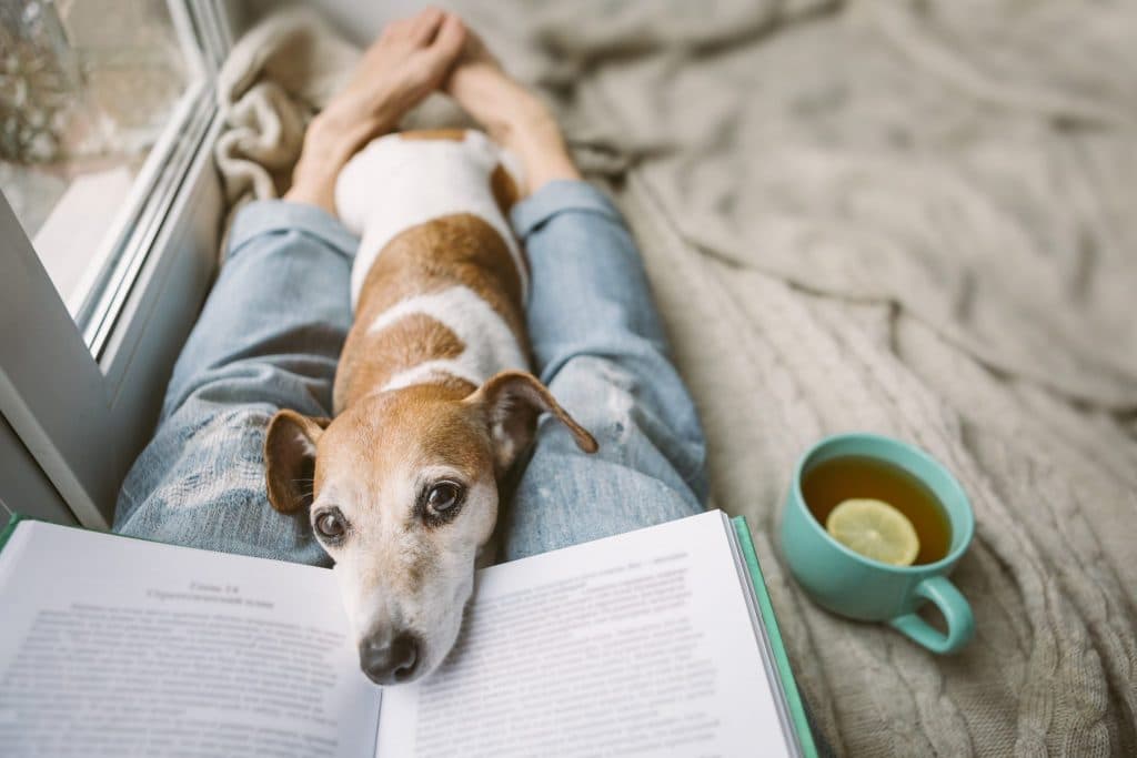 17 new books to add to your must-read list this February