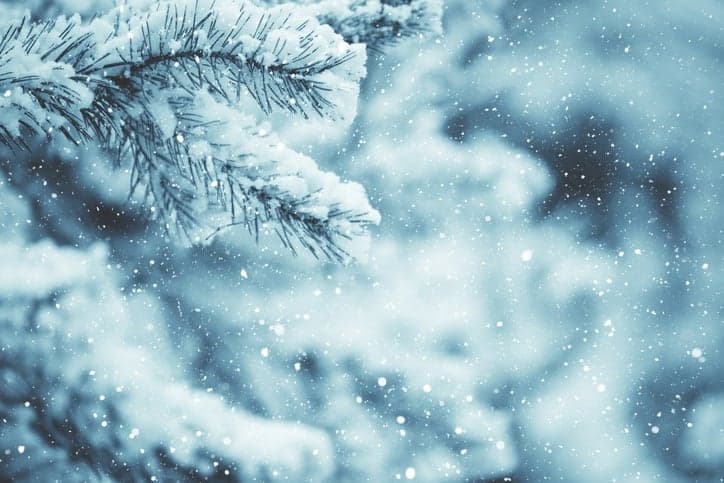 Met Eireann forecasts a wet Christmas rather than a white one