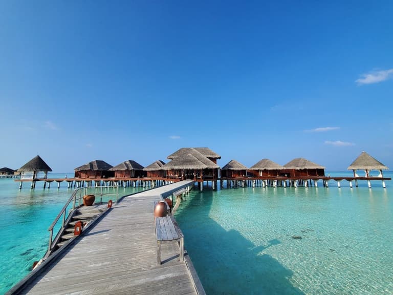 Couple pays €25,000 to work remotely from the Maldives during Covid Couple pays €25,000 to work remotely from the Maldives during Covid