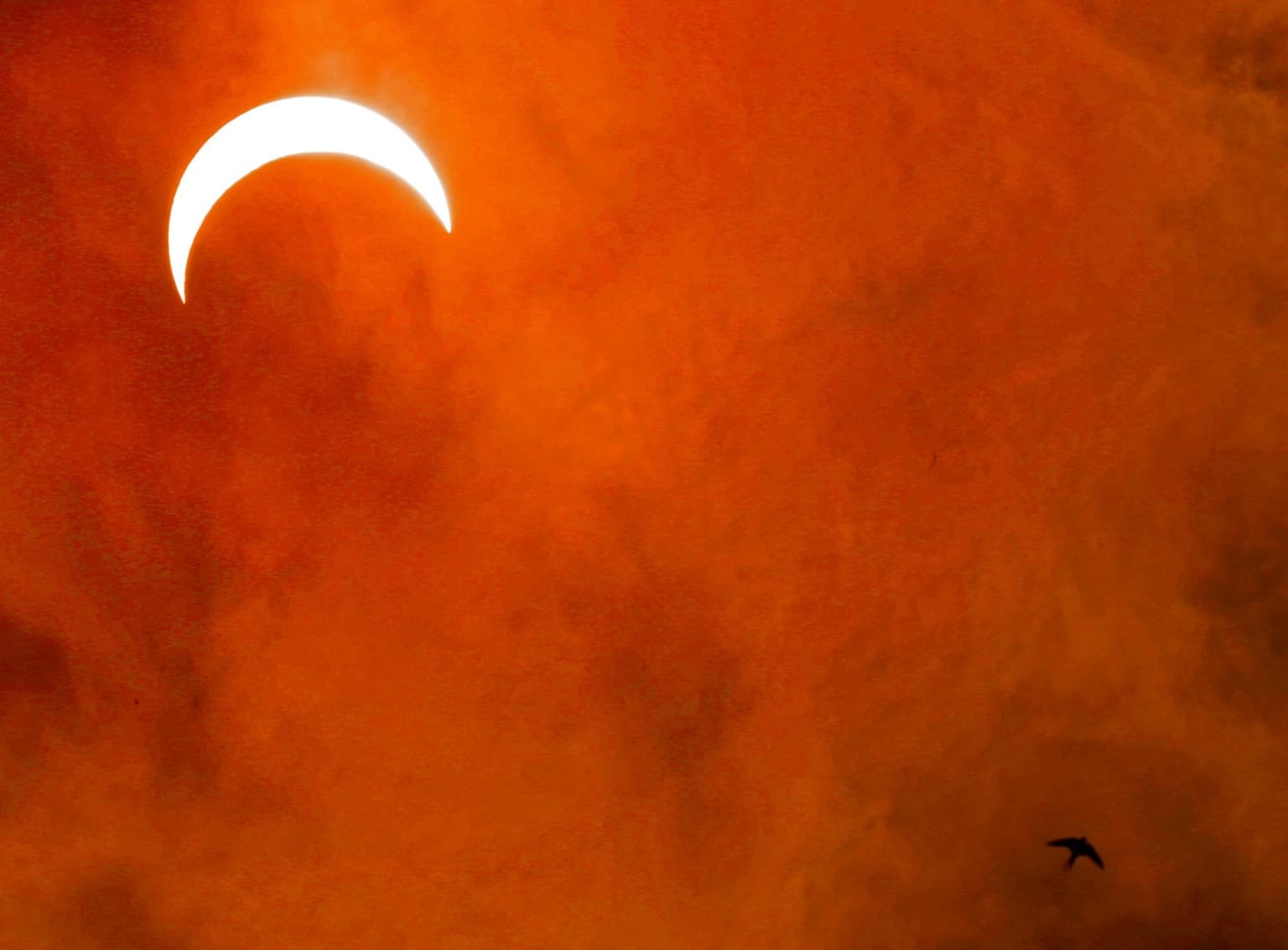 Partial solar eclipse to be visible all over Ireland this morning