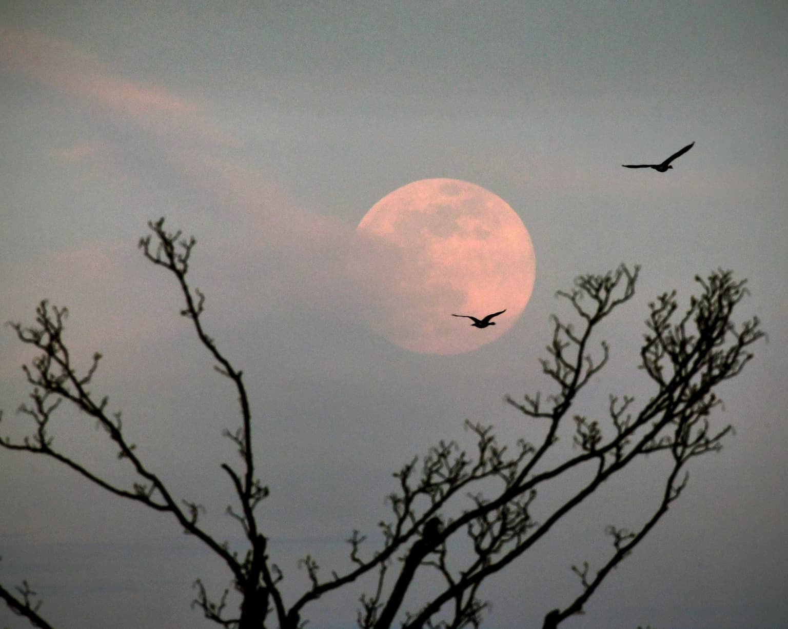 Strawberry Supermoon to be visible in Ireland tonight – and it’s the last one of the year
