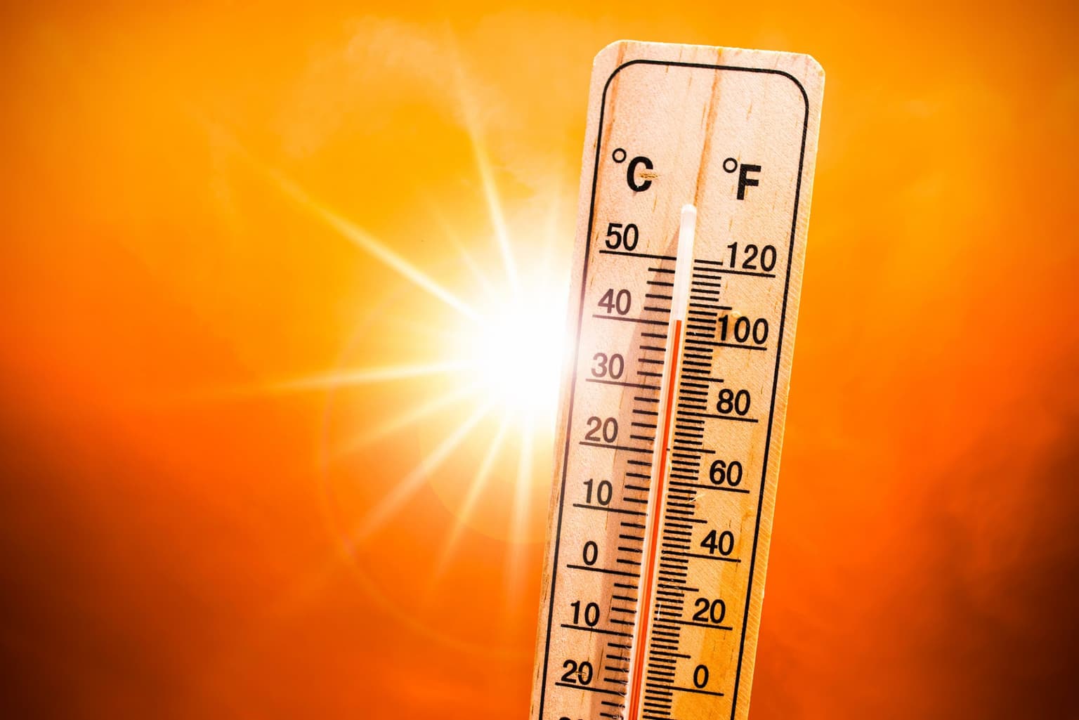 Status yellow temperature warning is issued for highs of 30 degrees this week