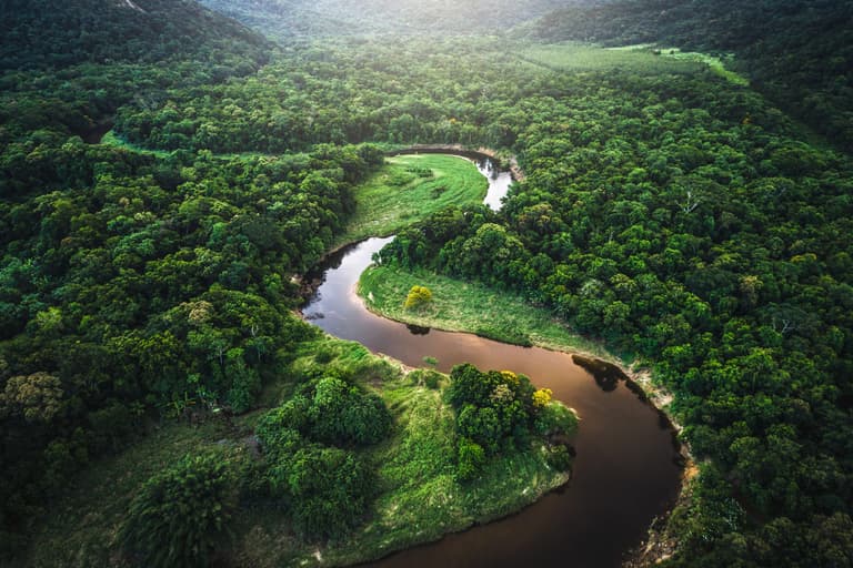 Amazon rainforest emitting more CO2 than it absorbs for first time Amazon rainforest emitting more CO2 than it absorbs for first time