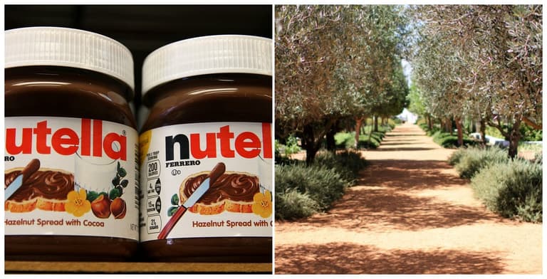 Yikes – turns out our Nutella addiction is having some pretty dire ecological consequences Yikes – turns out our Nutella addiction is having some pretty dire ecological consequences