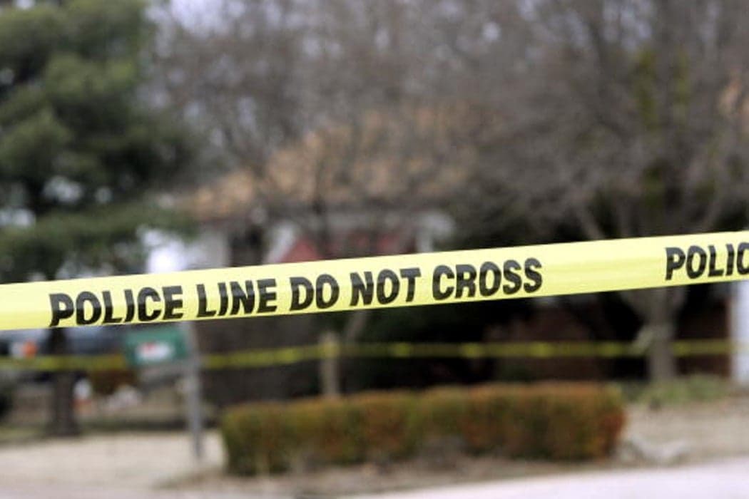 Three-year-old accidentally shoots mother in the head during work Zoom call