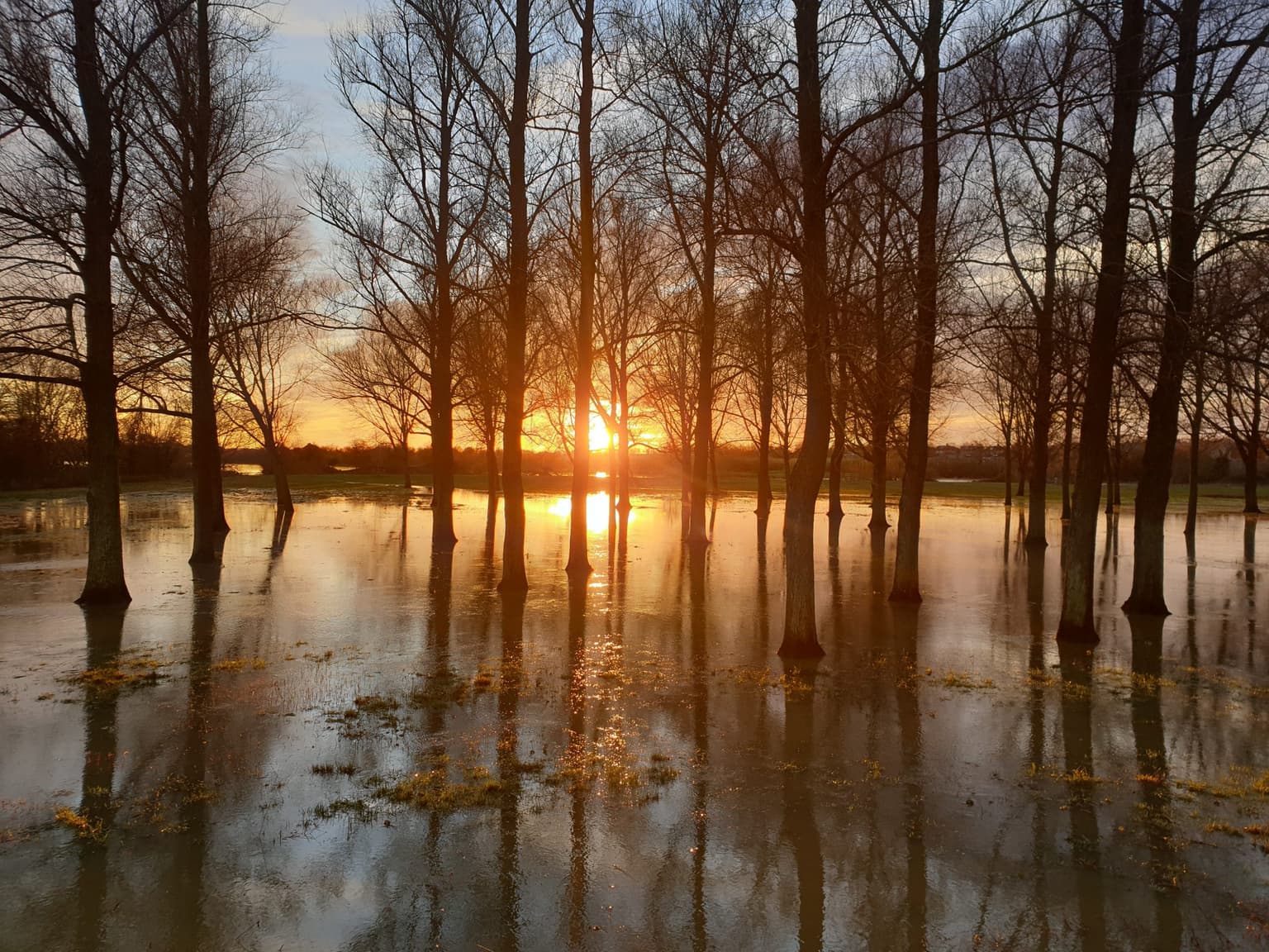 Ireland to become warmer and wetter due to climate change
