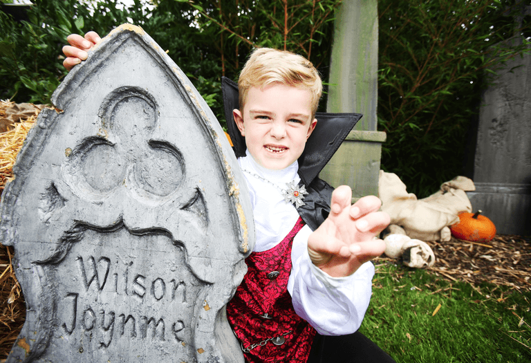 After Dark trail returns to Tayto Park just in time for Halloween After Dark trail returns to Tayto Park just in time for Halloween
