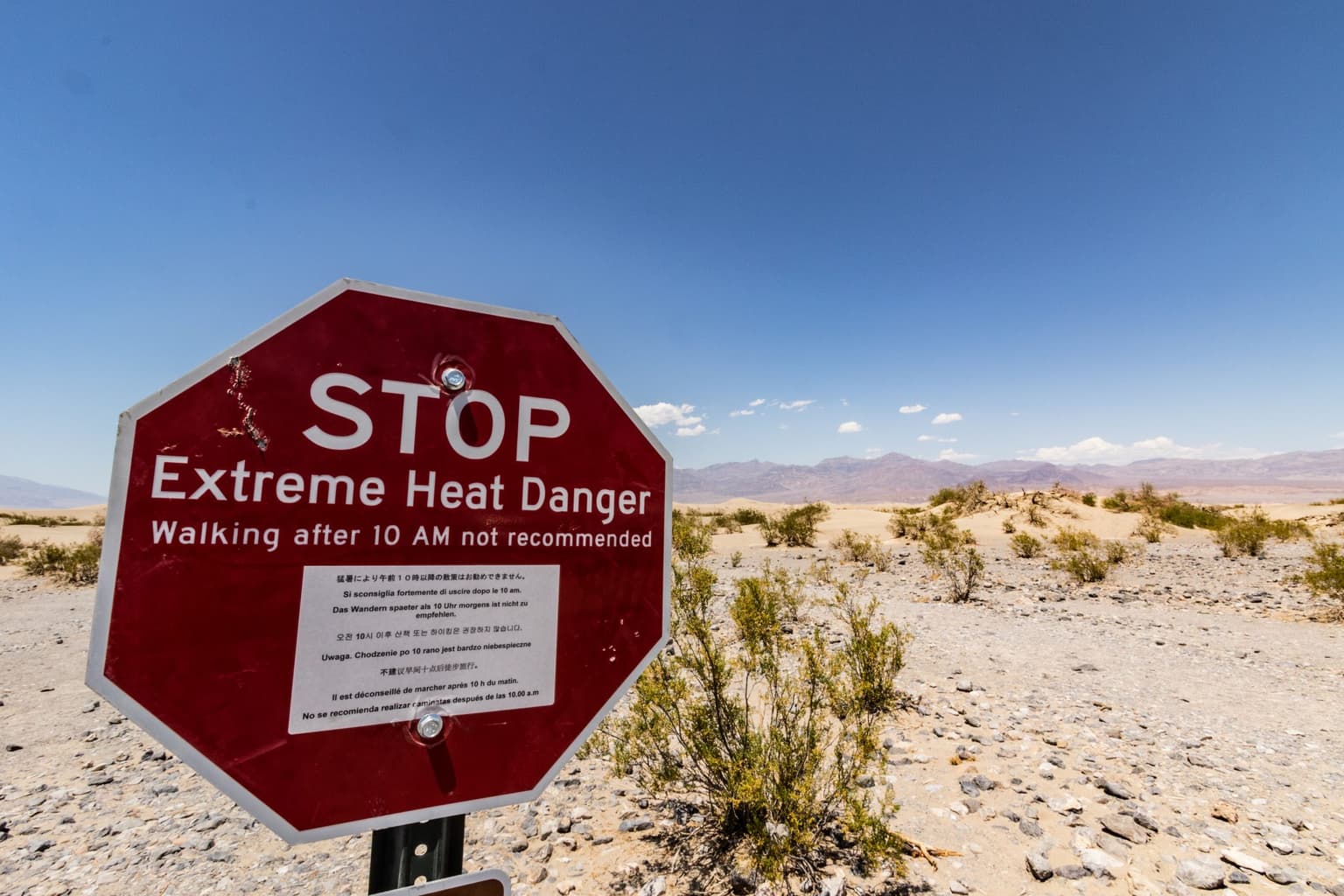 World set to face “unbearable” heat waves due to climate change