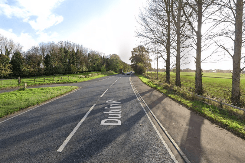 Irish man dies after car hit by falling tree