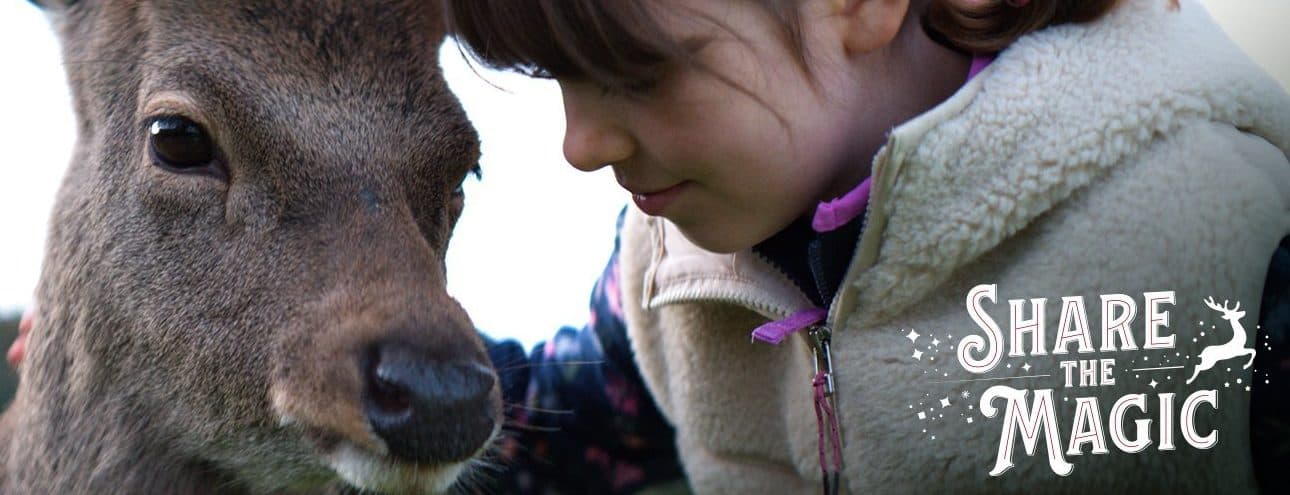 WATCH: SuperValu’s Deermuid the Deer Christmas ad is here