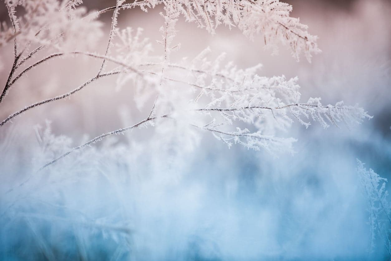 Met Éireann warns of freezing temperatures this week, so grab the hot water bottle