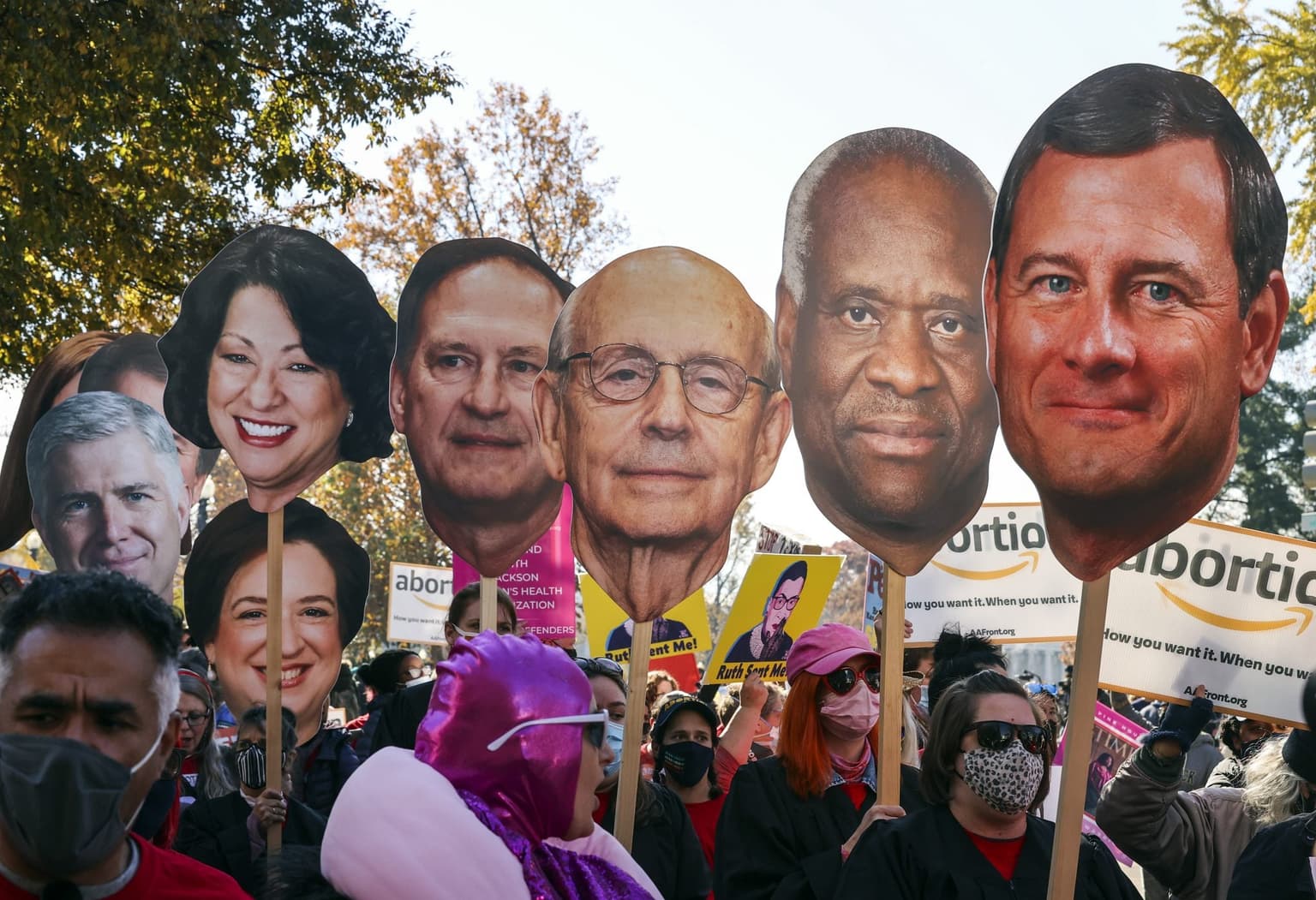 Everything we know so far about the proposed abortion limits in the US