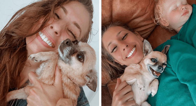 Stacey Solomon admits she feels “sad and guilty” over death of dog Stacey Solomon admits she feels “sad and guilty” over death of dog