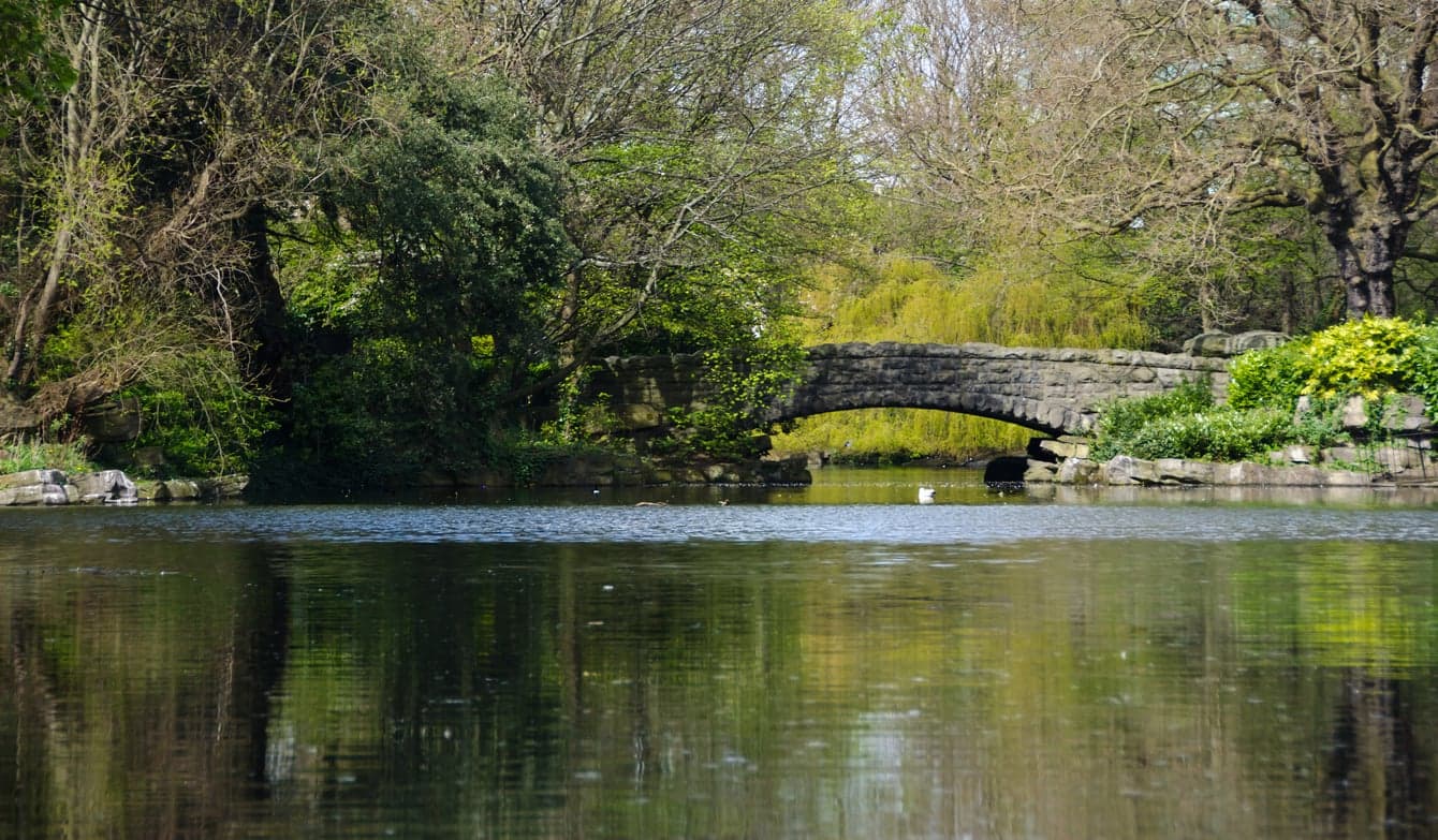 Man arrested in connection with assault of woman in St Stephen’s Green