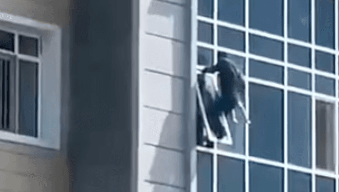 Man saves 3-year-old girl’s life as she falls from eighth floor window Man saves 3-year-old girl’s life as she falls from eighth floor window