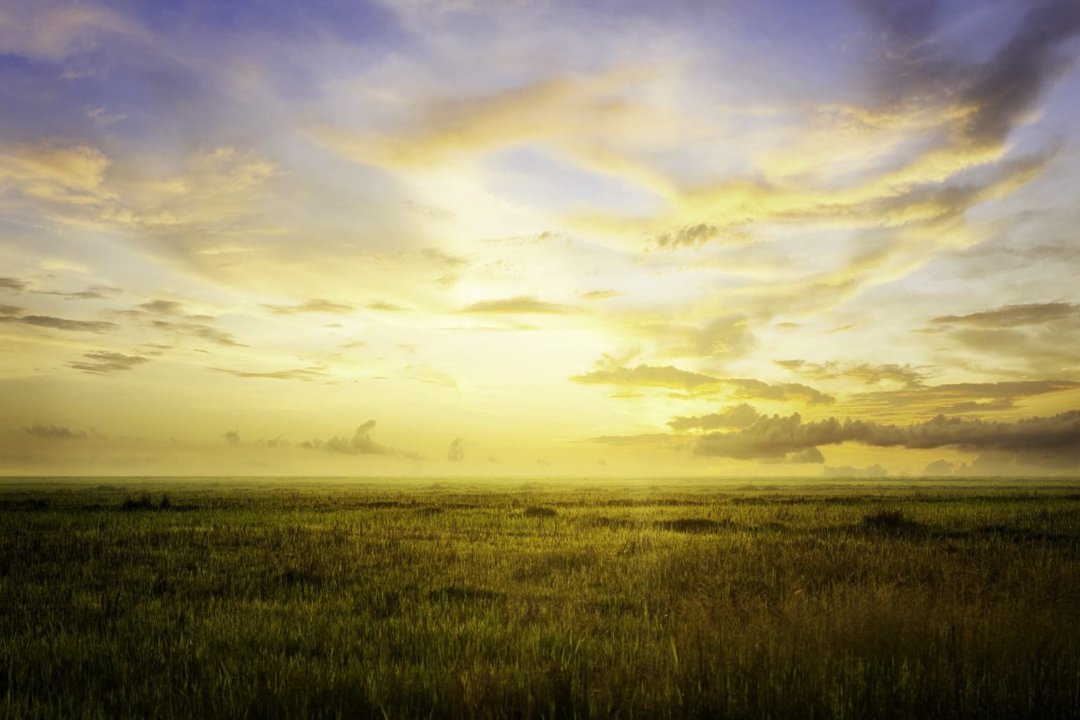 19 degrees forecast for this weekend, Met Éireann says