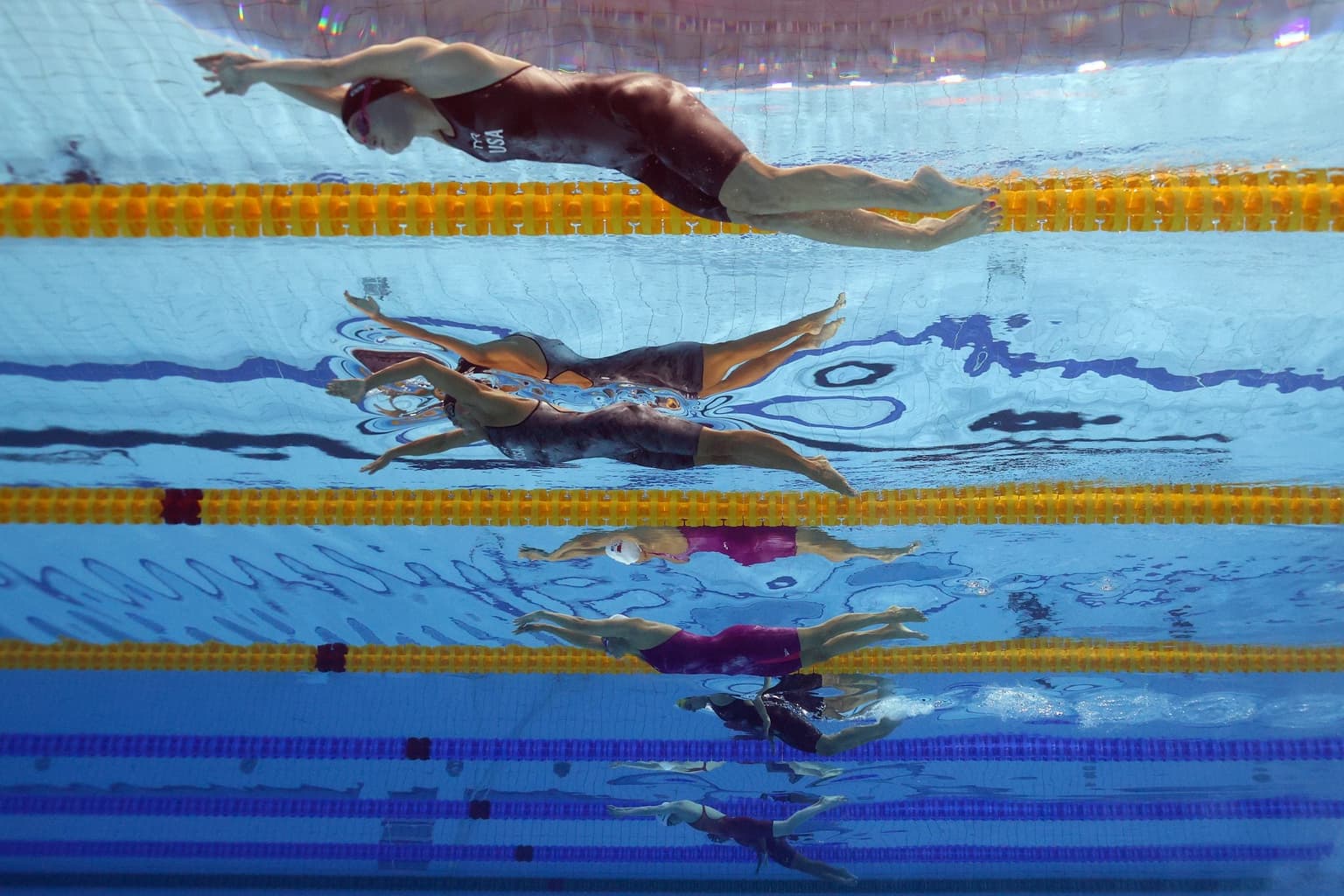 Transgender swimmers banned from female events by FINA