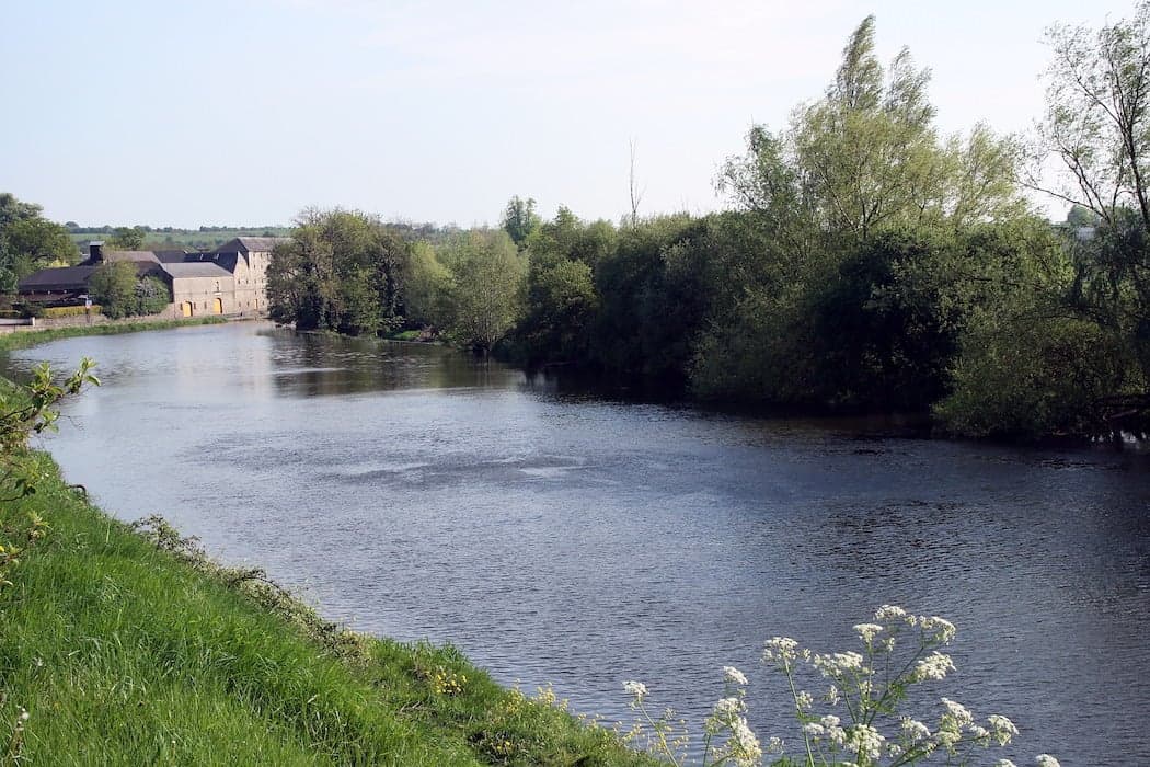 Man (30s) dies after getting into difficulty in River Barrow