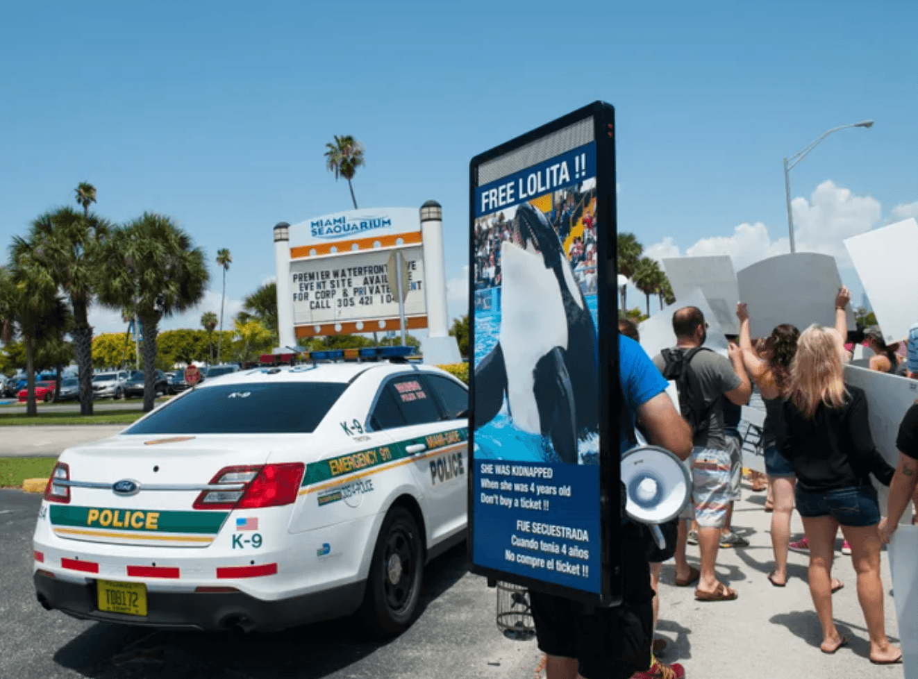 Orca to be set free after spending past 50 years in Miami aquarium