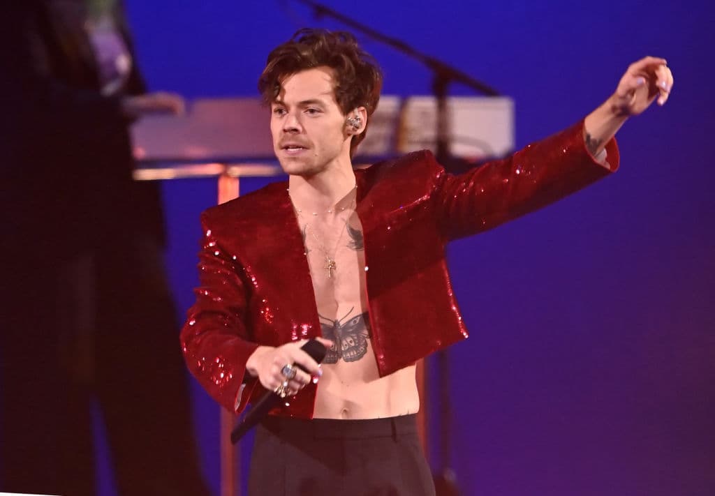 Concert-goer captures moment Harry Styles was hit in the face on stage in Austria
