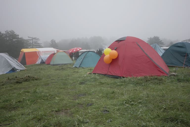 Forever Young forced to postpone festival for day and weekend visitors Forever Young forced to postpone festival for day and weekend visitors