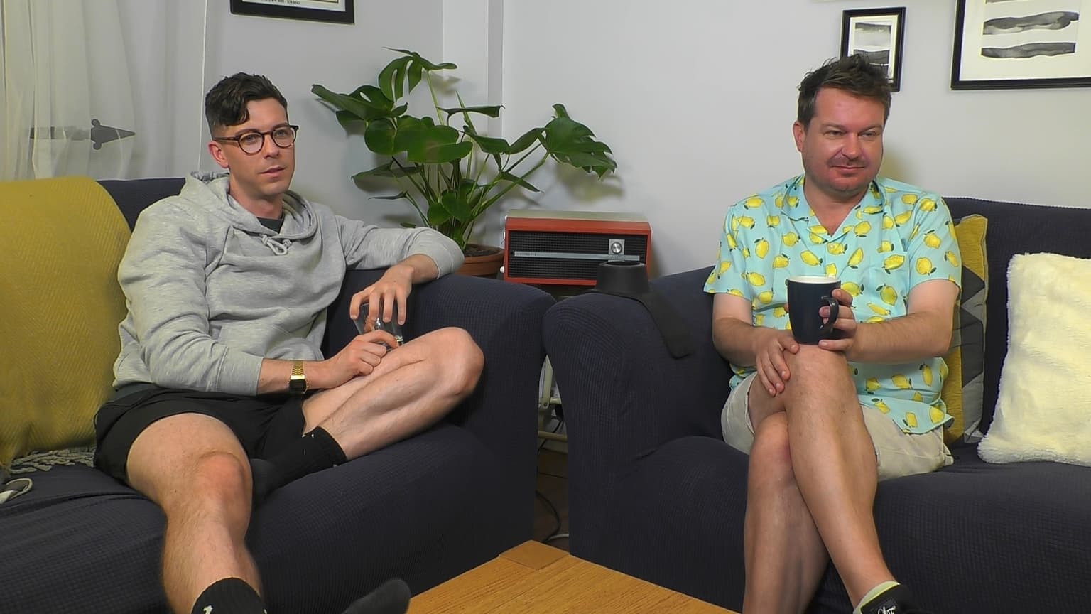 Gogglebox Ireland is looking for new TV fanatics to join the show
