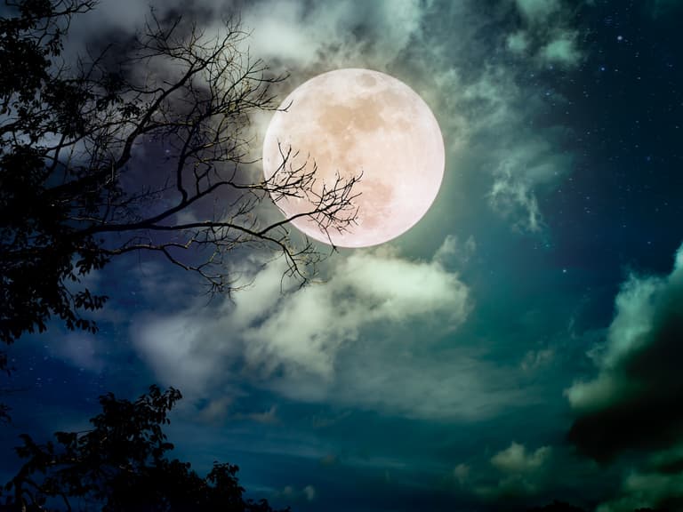 Skygazers in for a treat as first of two August supermoons visible tonight