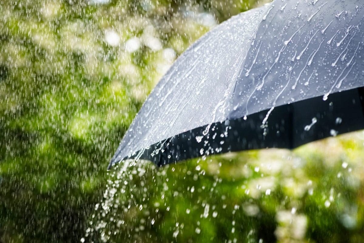 Met Eireann publish four separate weather warnings ahead of brutal conditions