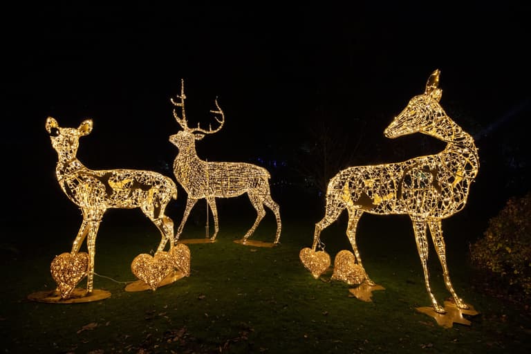 Wonderlights is the festive event you cannot miss this winter