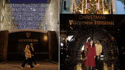 The Guinness Storehouse has one of Dublin's most impressive trees