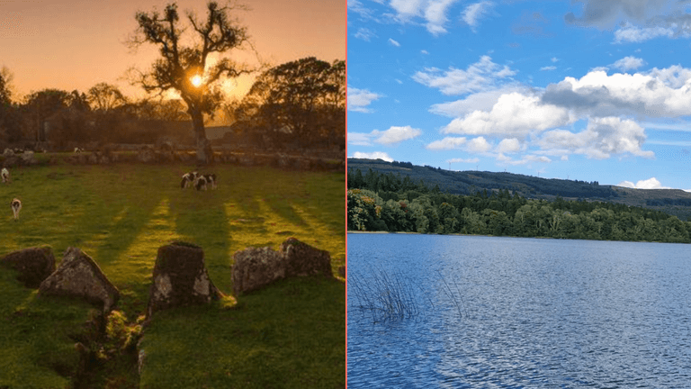 Five beautiful walks to take your dog on this New Year’s Day Five beautiful walks to take your dog on this New Year’s Day