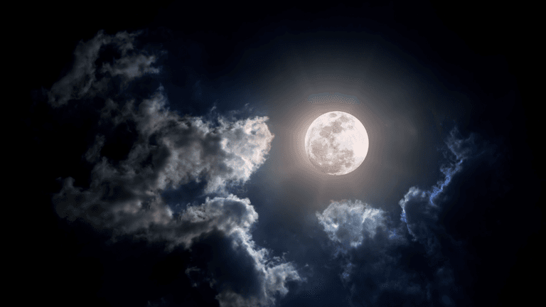 What does the first full moon of 2024 mean for your zodiac sign? What does the first full moon of 2024 mean for your zodiac sign?