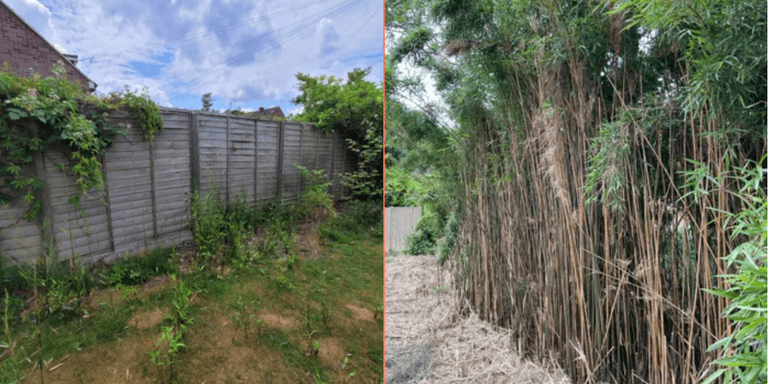 Woman pulls out of buying first home after spotting ‘huge red flag’ in garden Woman pulls out of buying first home after spotting ‘huge red flag’ in garden