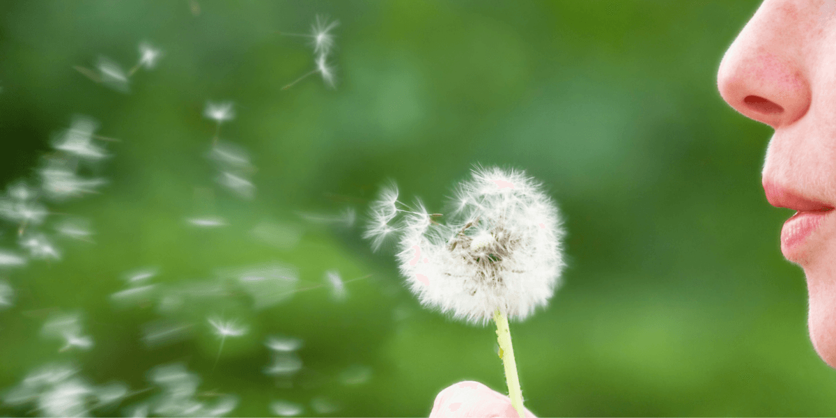 Ireland’s pollen count is on the rise – here are 7 ways to reduce your symptoms