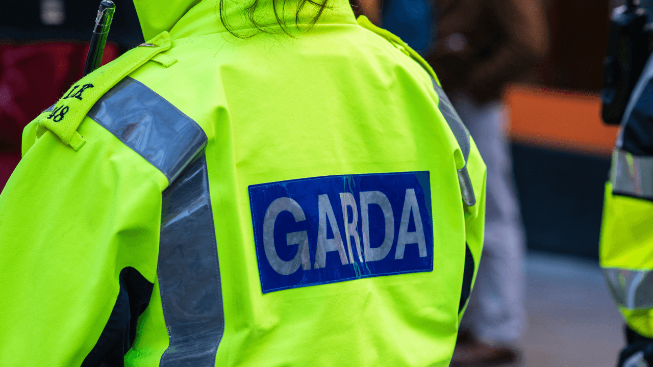 23-year-old woman dies after dog attack in Limerick