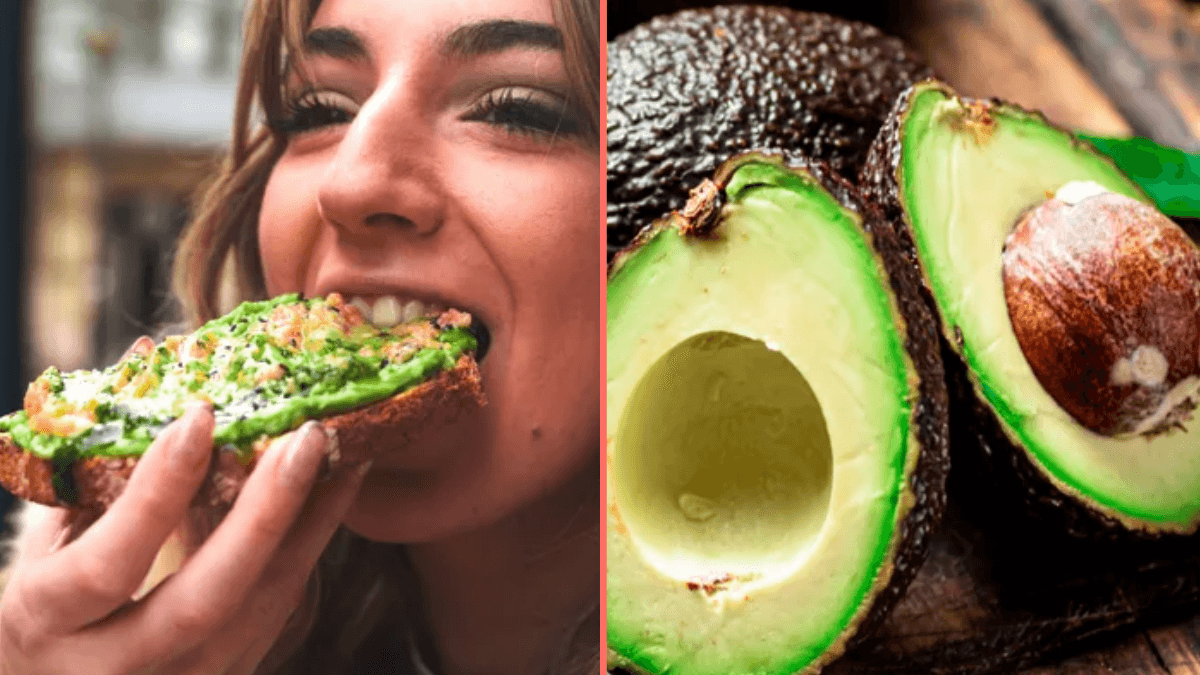 People only just realising avocados might not actually be vegan