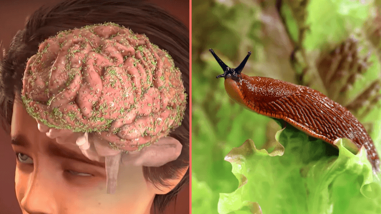 Terrifying simulation reveals what happened to teenager who ate slug after dare