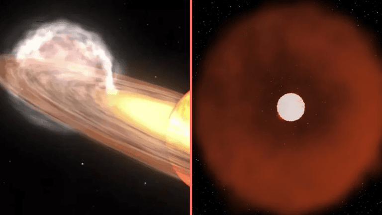 New star to appear any day now in ‘once-in-a-lifetime’ event New star to appear any day now in ‘once-in-a-lifetime’ event
