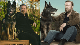 Ricky Gervais announces death of Brandy the Dog from After Life aged 13
