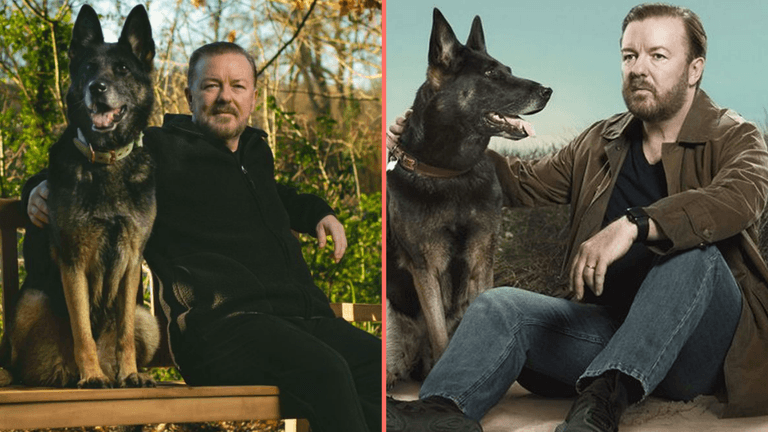 Ricky Gervais announces death of Brandy the Dog from After Life aged 13