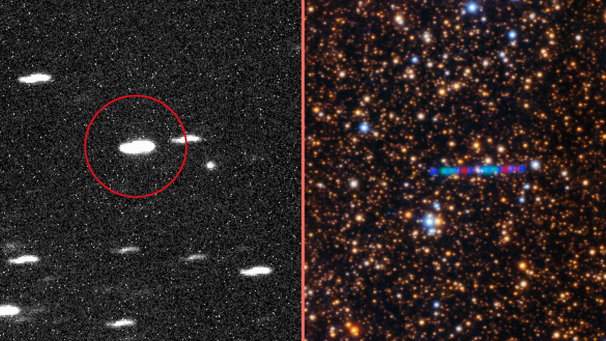 ‘Potentially hostile’ alien threat could attack Earth in a few months, scientists claim