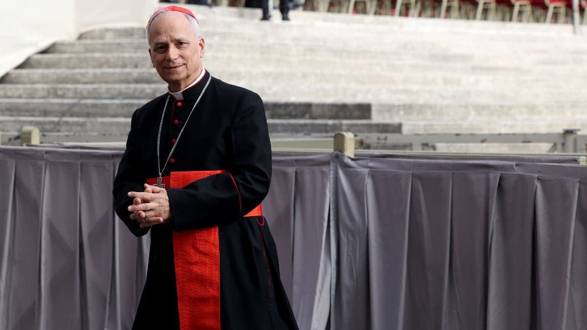 Pope Leo opens up about being physically attacked in Ireland