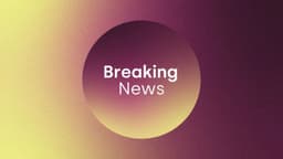 Multiple people feared dead after horrific collision as Gardai close road