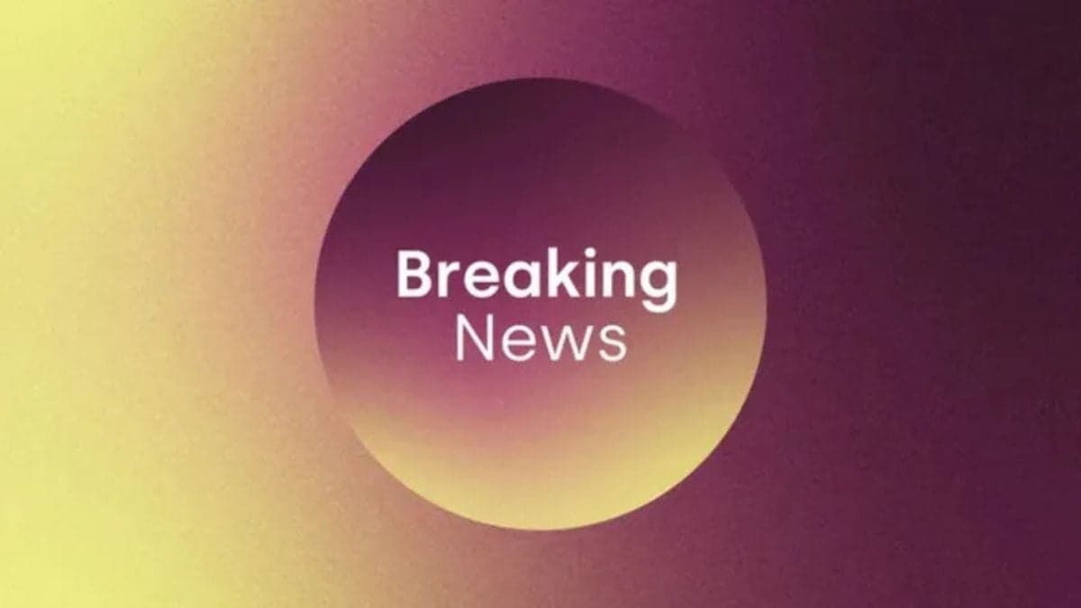 Infant boy seriously injured after dog attack in Co Kilkenny