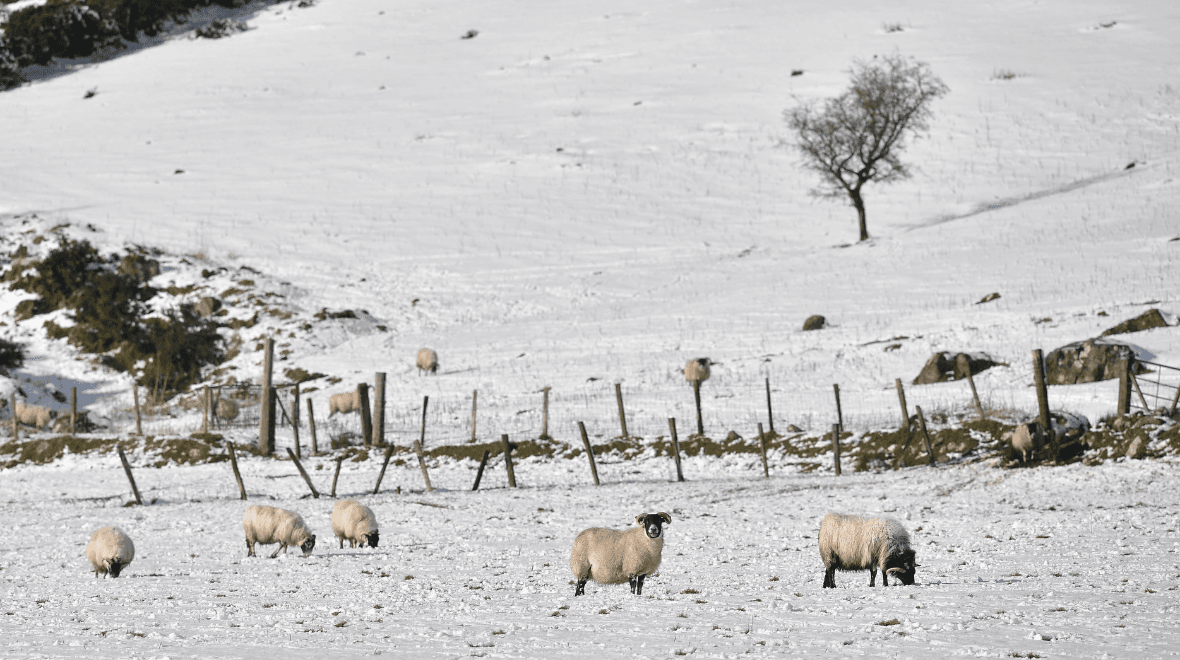 Weather experts warn when Arctic blast could bring snow to Ireland