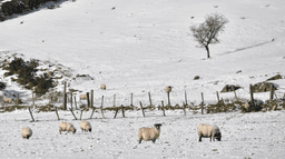 Weather experts warn when Arctic blast could bring snow to Ireland