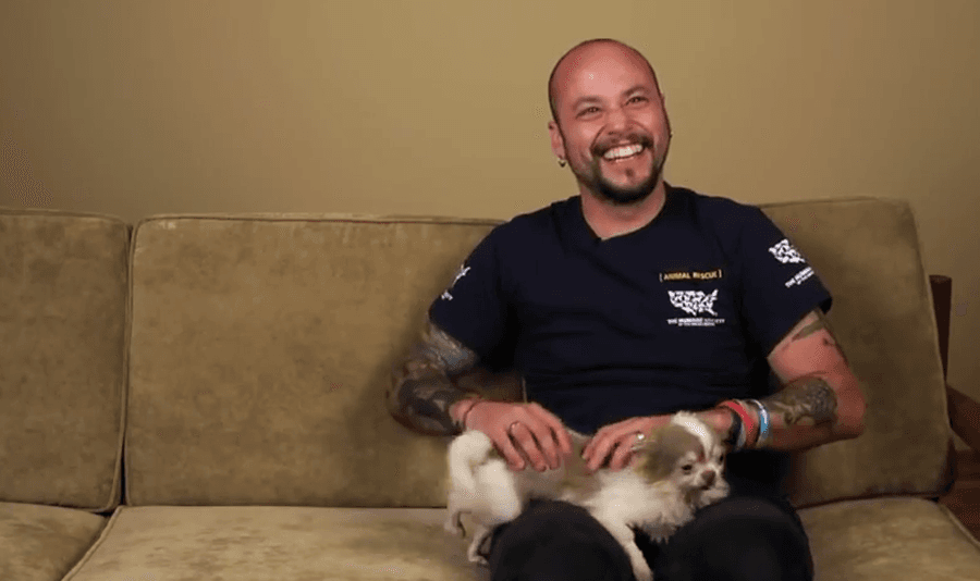 One Hero Meets Another: Introducing Billy, The Bravest Little Dog We’ve Ever Seen