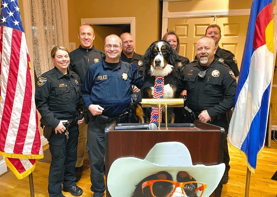 Parker the Snow Dog has been voted the honorary mayor of a town in Colorado and yeah, he’d have our vote