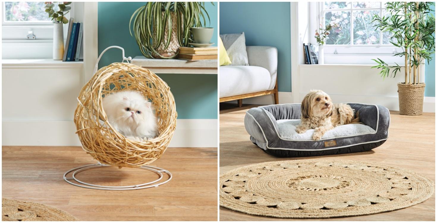 How paw-fect! Check out these eco-friendly pet buys that are coming to Aldi